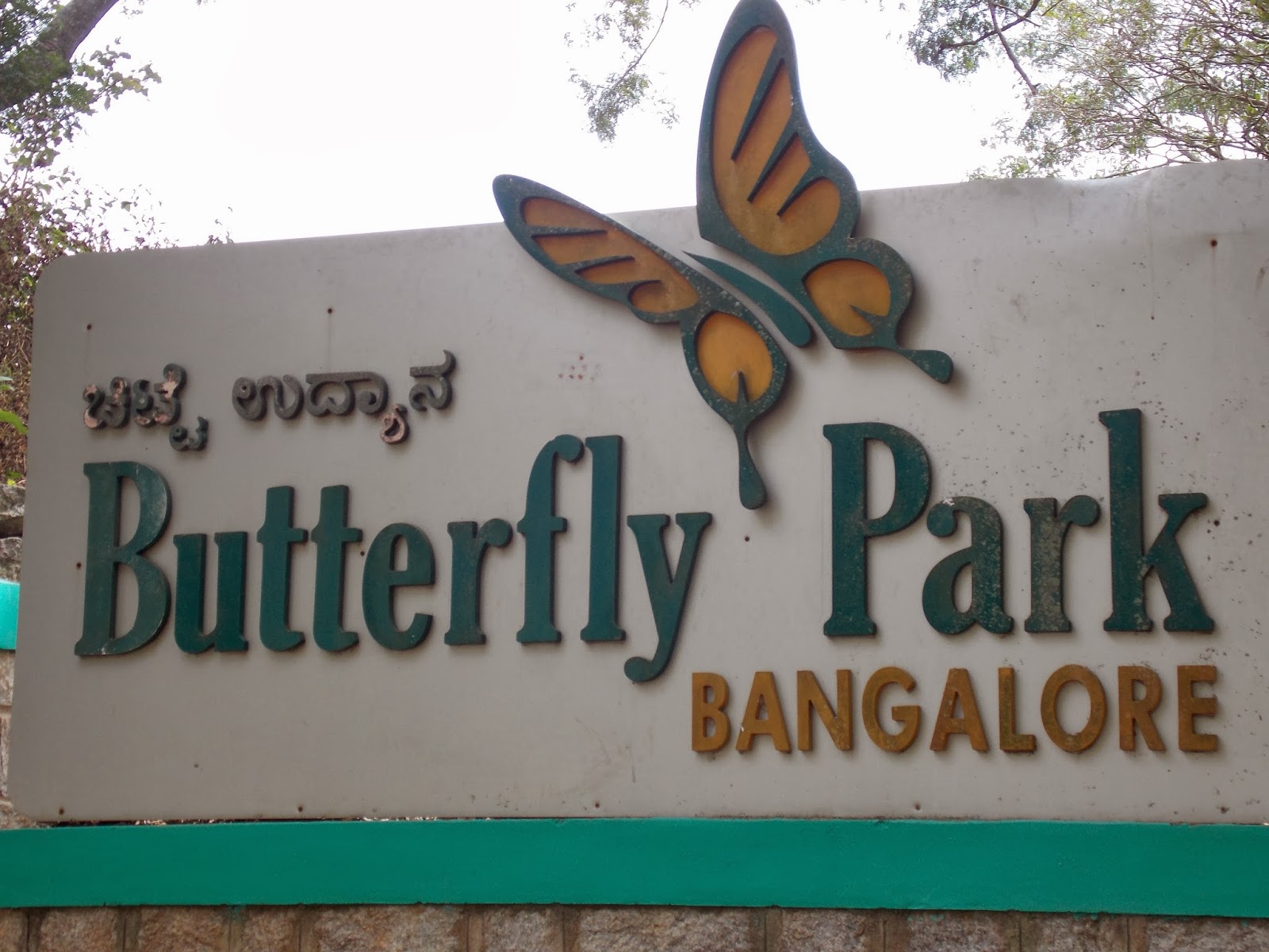 Reflection Bangalore's Butterfly Park