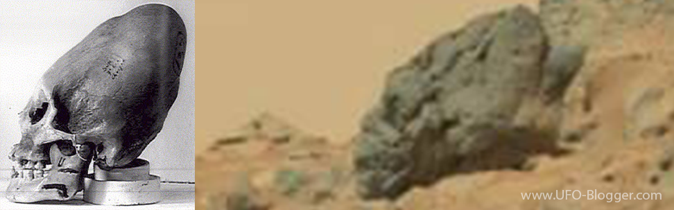 http://4.bp.blogspot.com/-Rx5AGFSwVK4/VEA4zFYFWTI/AAAAAAAAHv0/psO5htx339k/s1600/fossilized-mars-nephilim-skull-paracas-skulls-mars-alien-skull-closeup.png