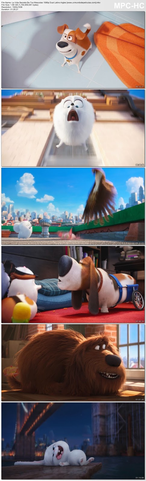 Capturas de la película.