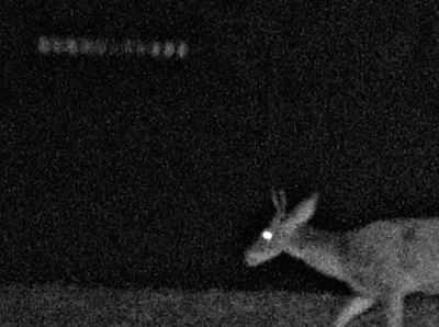 UFO Deer Cam UFO Caught Stalking Deer In Kentucky 2015, UFO Sightings