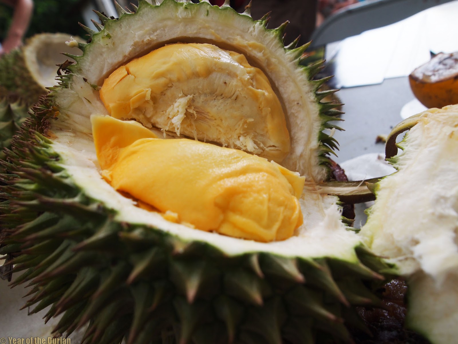 Durian in Puerto Rico