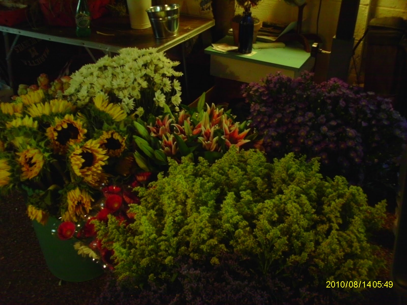 Oakton House and Gardens