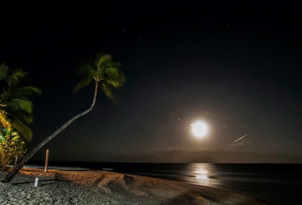 Exotic night time beach view Exotic night time beach view
