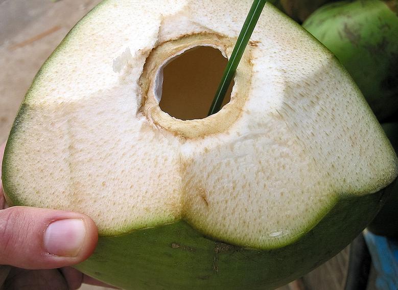 Health and Safety Does coconut water help in diabetes