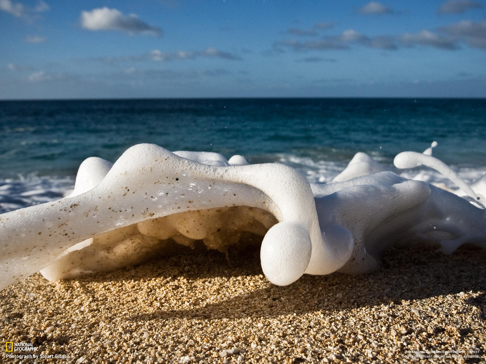 QQ Wallpapers: National geographic wallpapers