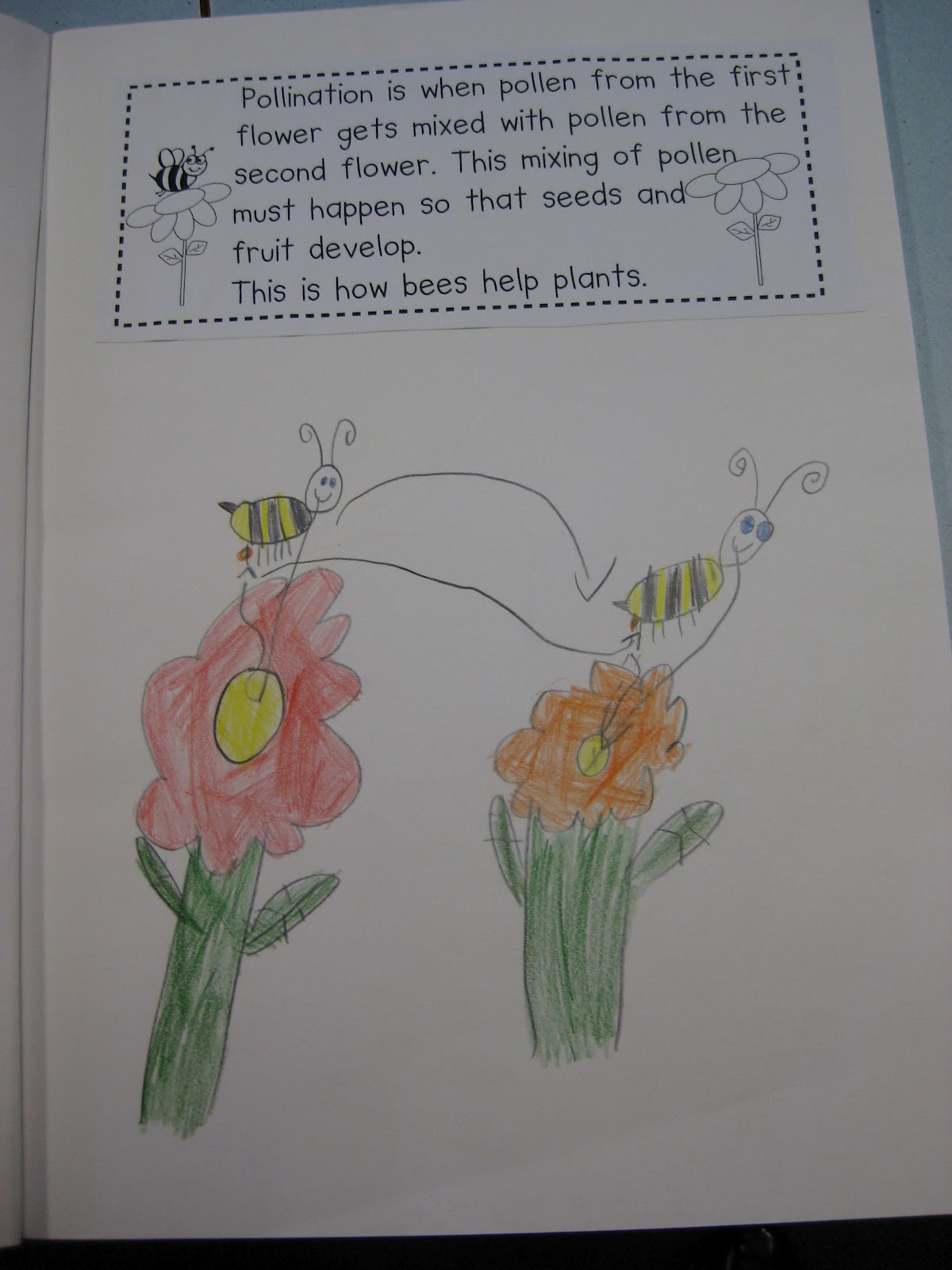 Classroom Fun: Bees