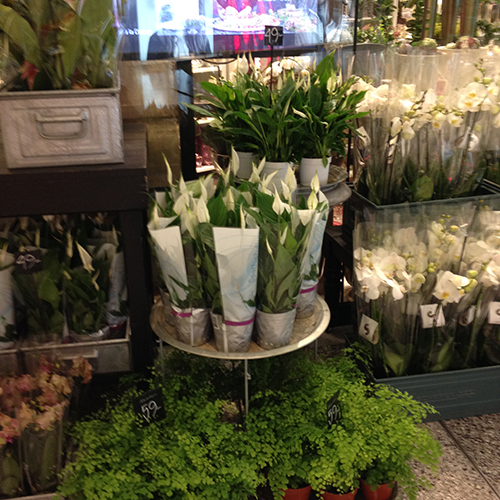 Jenny Strandh Every day flowers