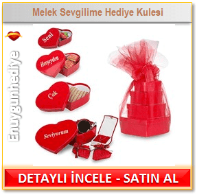 14 Şubat Sevgililer günü hediyesi bayana Melek Sevgilime Hediye Kulesi hediyesi