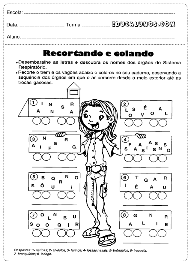 Recortando e colando