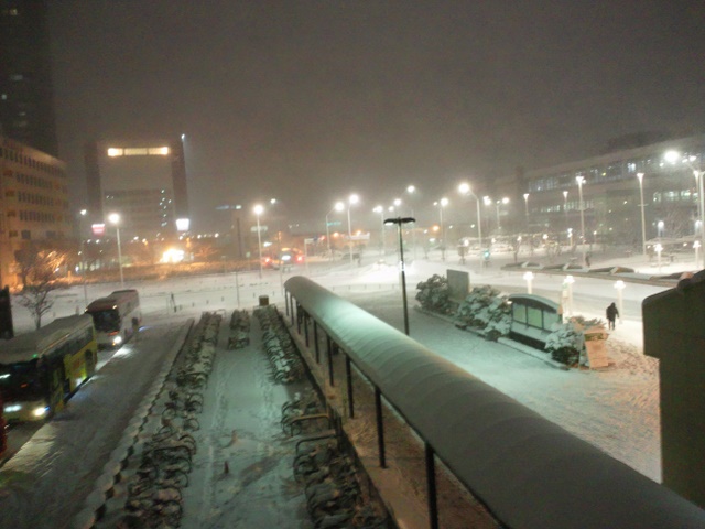 Good Squid Discs Japanese Retro Games Media Little Trip To Tokyo