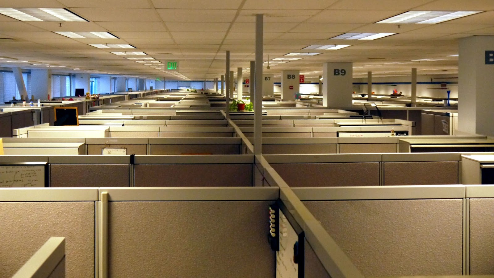 cubicle_farm.JPG