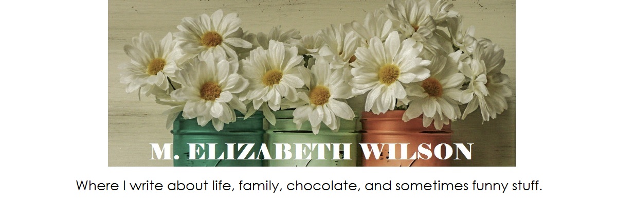 M. Elizabeth Wilson Blogs