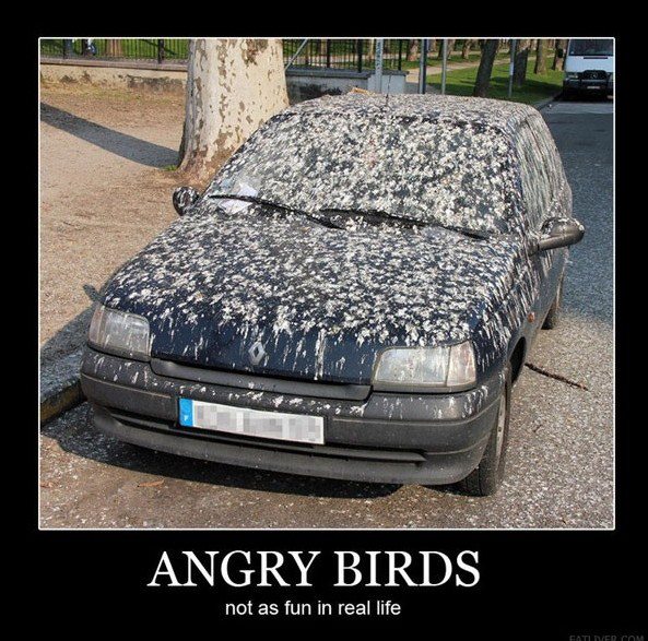 Funny Jokes To Tell Funny Jokes To Tell