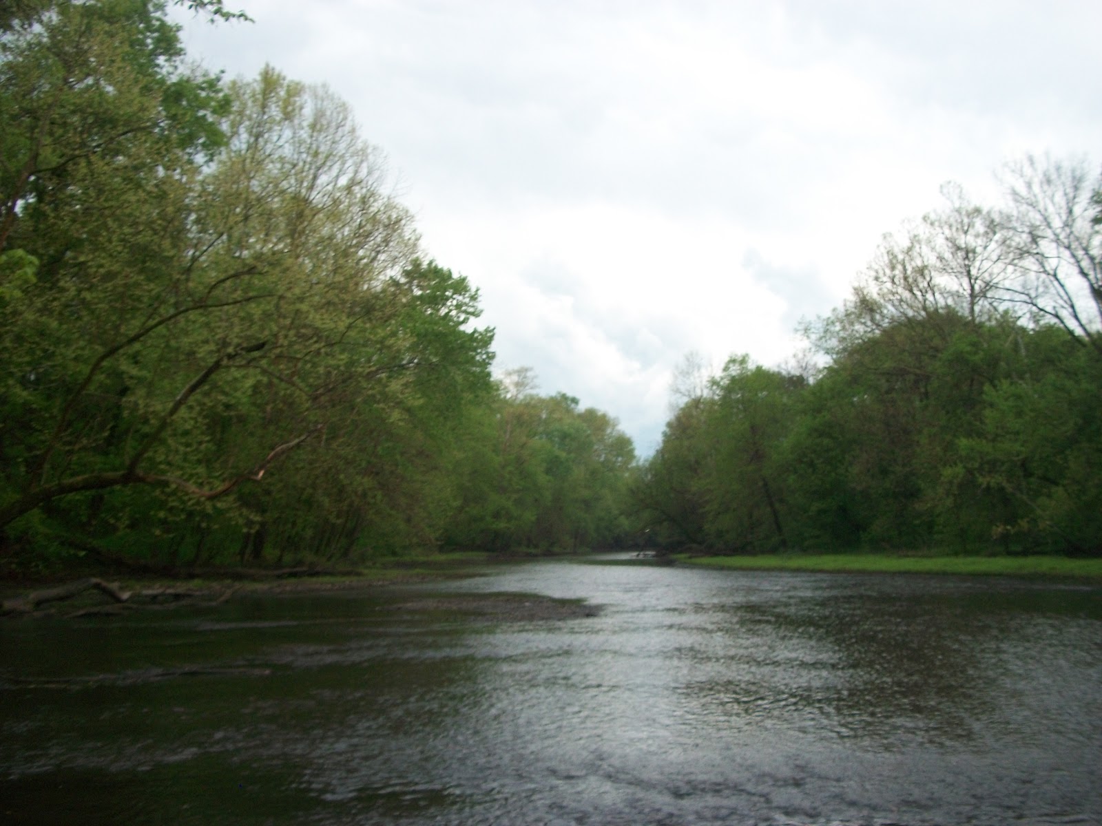 TENNESSEE FLY FISHING Duck River II