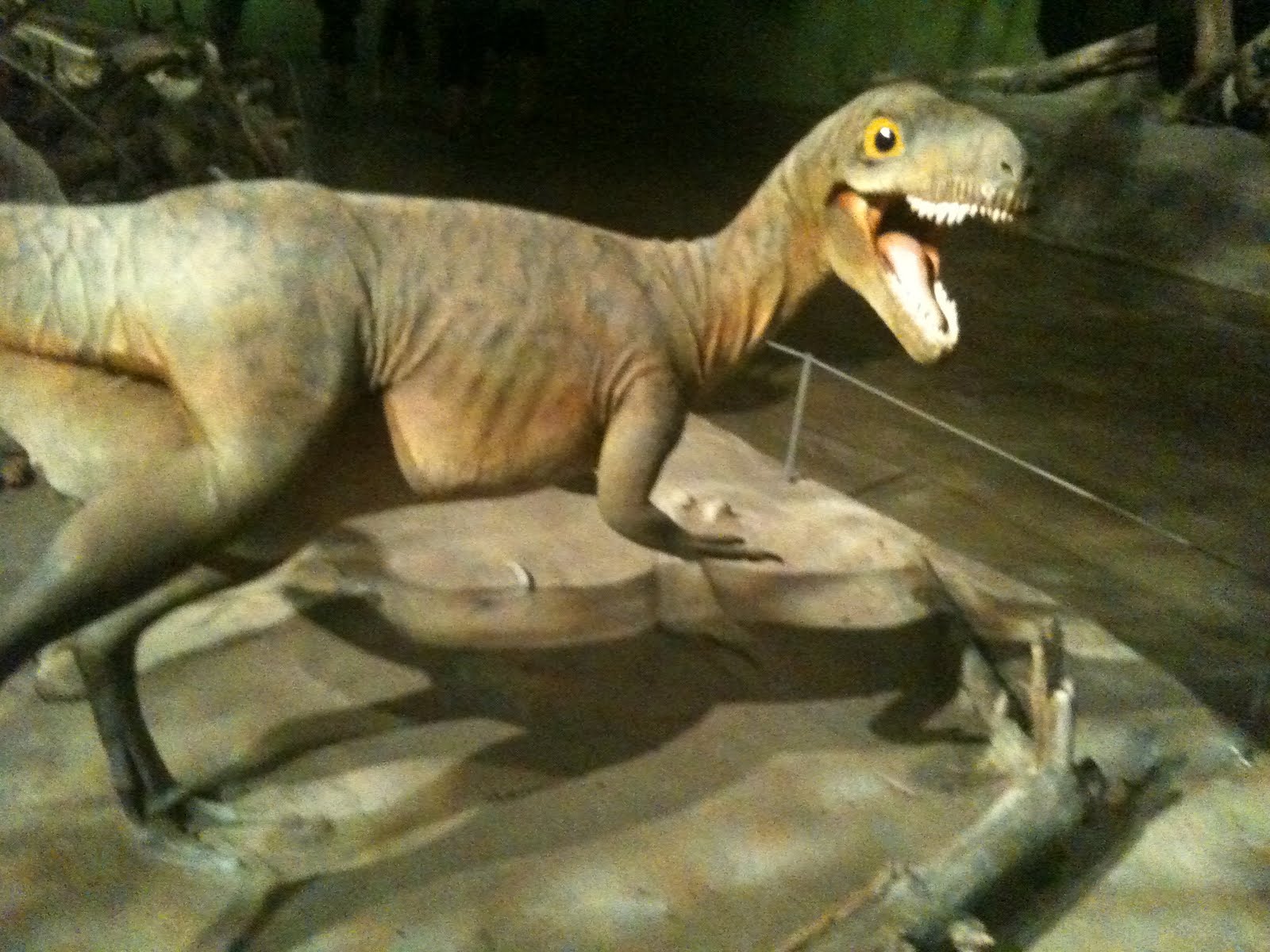 The Adventures of Yarn Salad Drumheller The Royal Tyrell Museum of