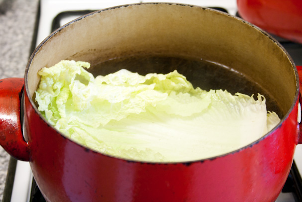 Pork mince chinese cabbage recipes Pork mince chinese cabbage recipes