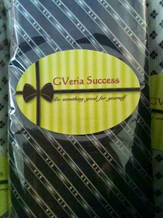 GVeria Project Success Neckties