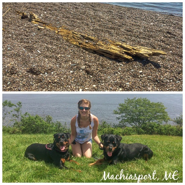 Jasper's Beach and Fort O'Brien State Historic Site in Machiasport, ME Jasper's Beach and Fort O'Brien State Historic Site in Machiasport, ME
