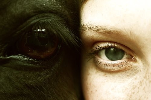 Comme sappelle le masque avec les yeux