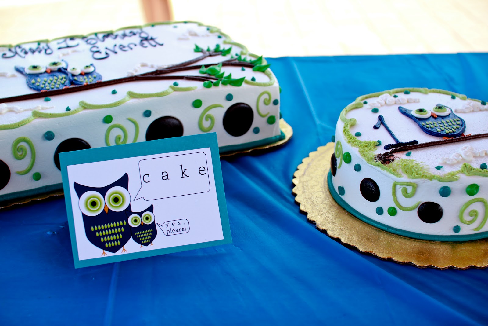 Emersyn and Everett, Our Biggest Little Blessings! Everett's 1st Birthday