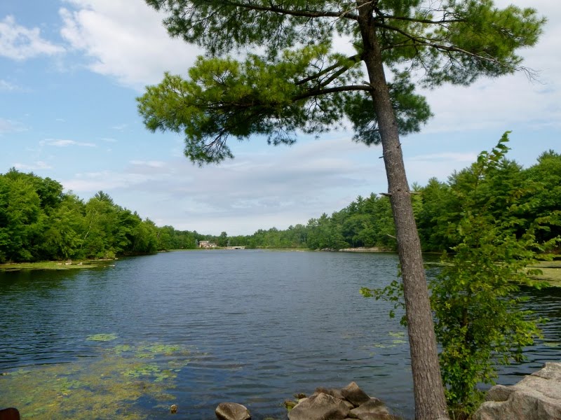 Kayaking Waupaca Area Waters Kayak Trip 41 Little Wolf River from Big