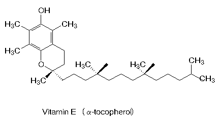 Vitamina E Para que serve a vitamina E