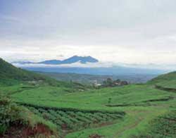 Argo wisata gunung mas