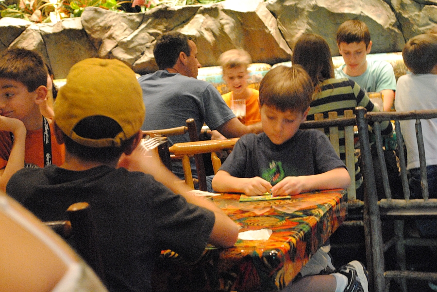 Rainforest cafe orlando coupons