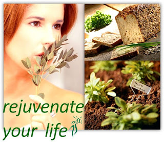 Rejuvenate Your Life, photo montage with herbs, ms office clipart, by wobuilt.com
