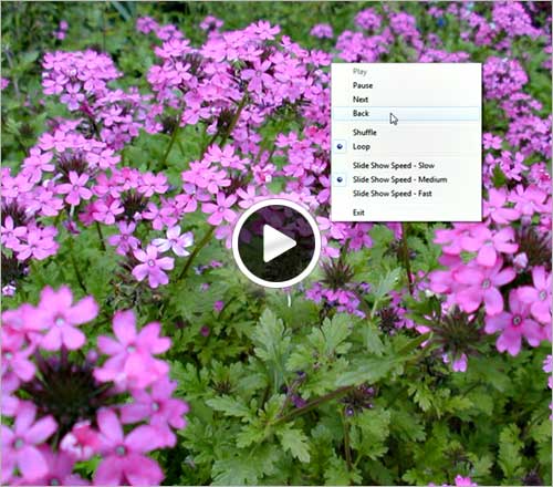 Flower Video