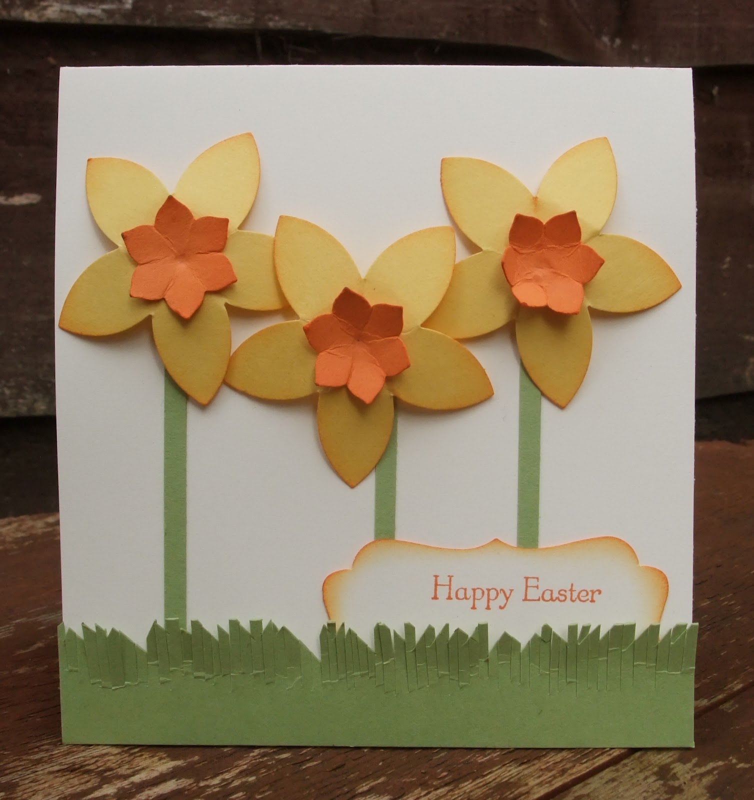 pandacream daffodils