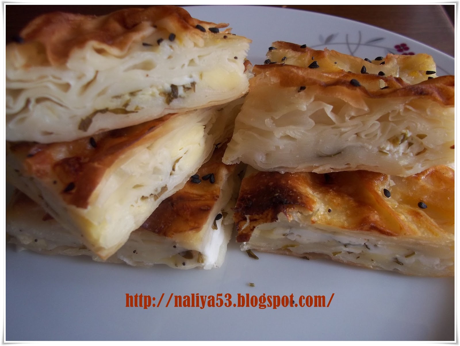 Naliya Sodalı yalancı su böreği