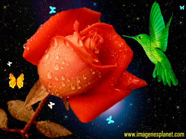 Imagenes Romanticas Gratis Para Compartir | imagenes lindas para compartir fb octubre 2013 Imagenes Romanticas Gratis Para Compartir | imagenes lindas para compartir fb octubre 2013
