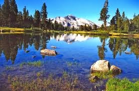 Tioga Pass - CA