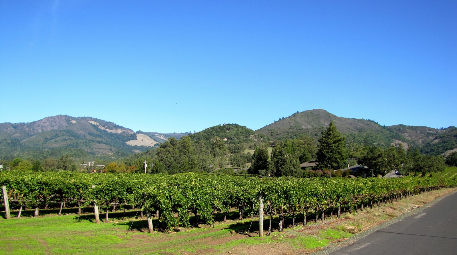 Kenwood Vineyards Kenwood, California Erik Wait's Wine Country