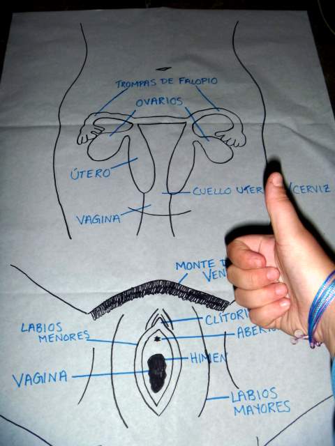Bits and Peaces: A day of drawing male and lady parts