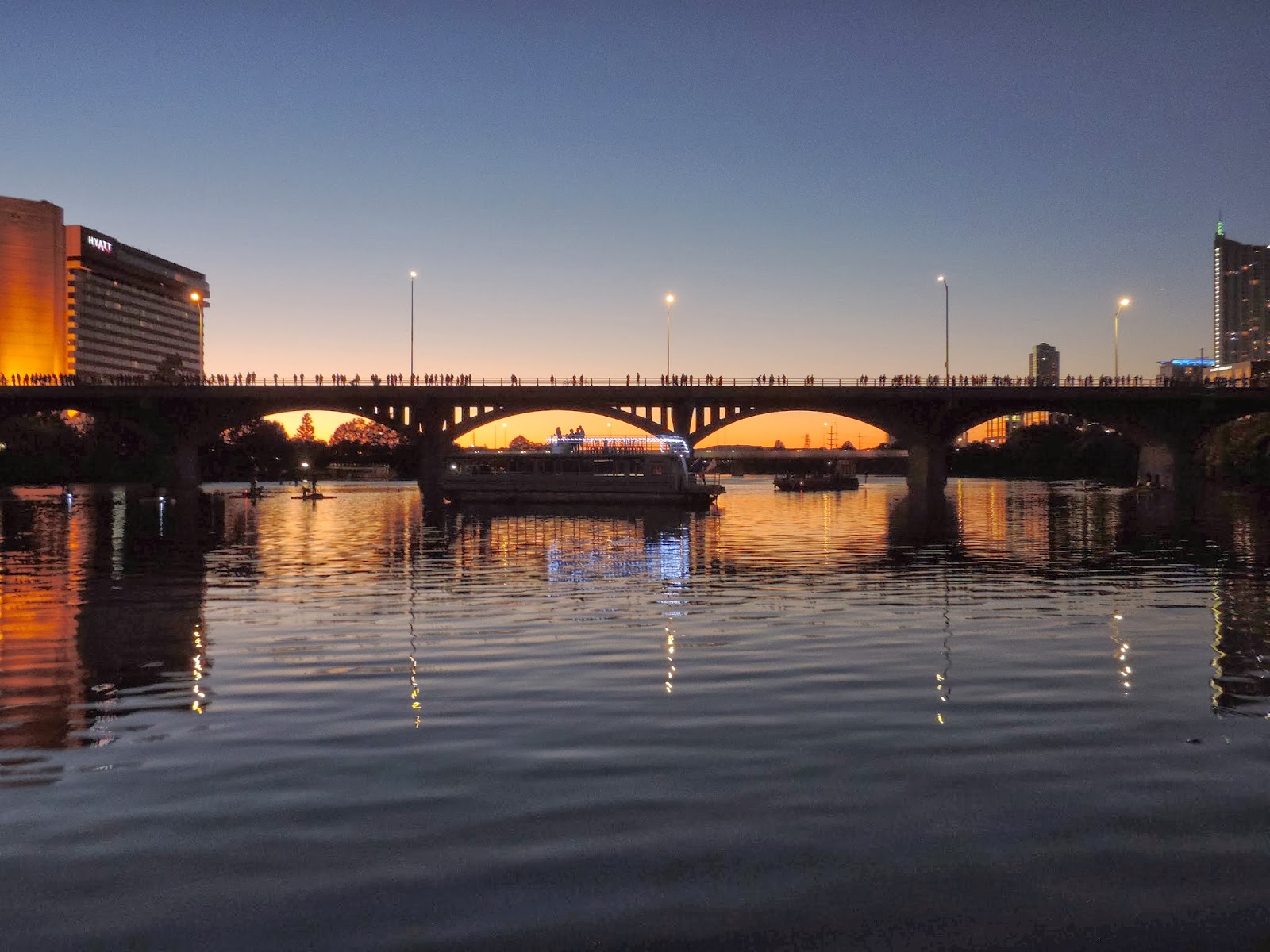 [Image: bat+cruise4.JPG]