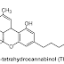 Cancer cells die after being exposed to tetrahydrocannabinol (THC )