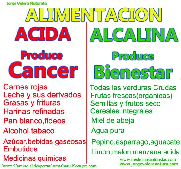 dieta para perder peso e definir Gentica dieta para perder peso e definir