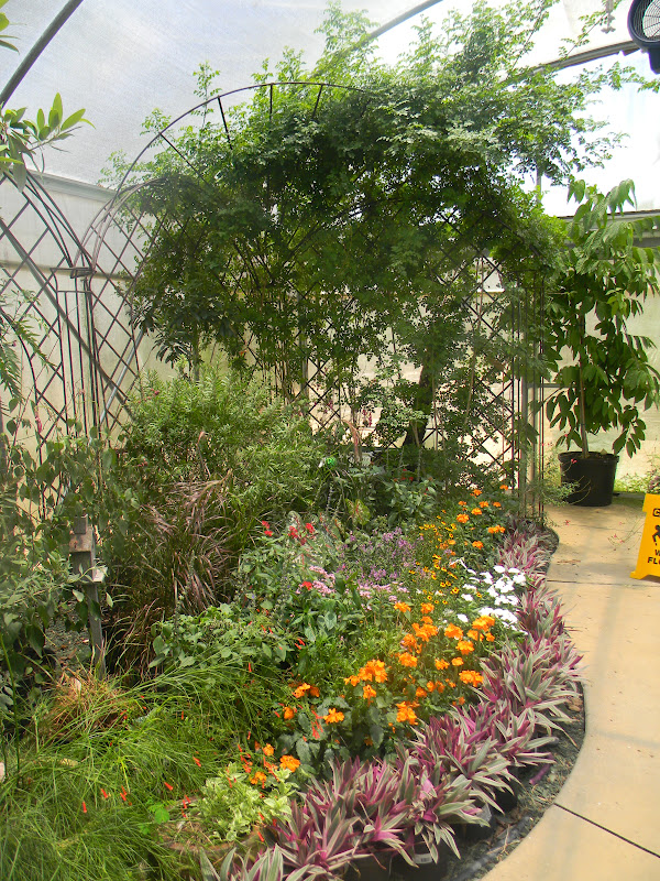 The "Unknown" Florida Lukas Nursery/Butterfly Encounter Oviedo, FL