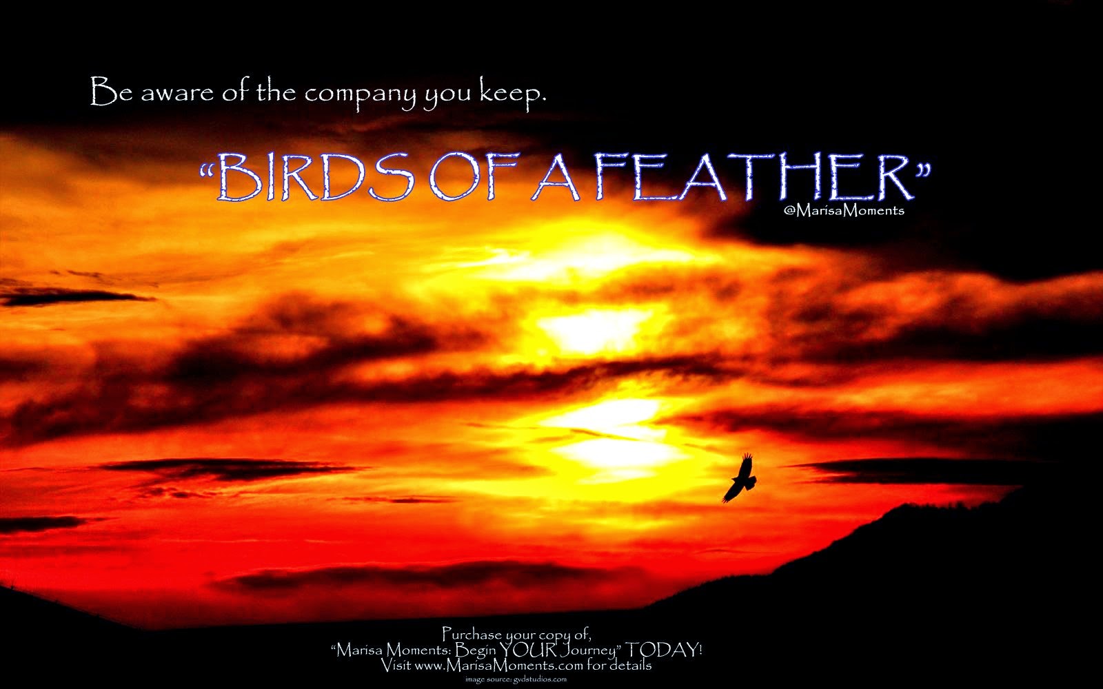 feather of birds meaning
