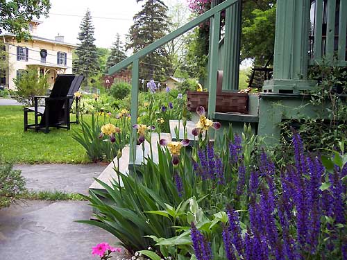 Home And Garden : Front Garden ideas