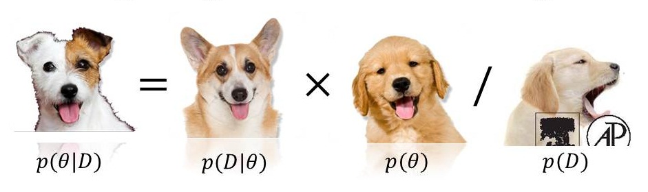 Bayes puppies
