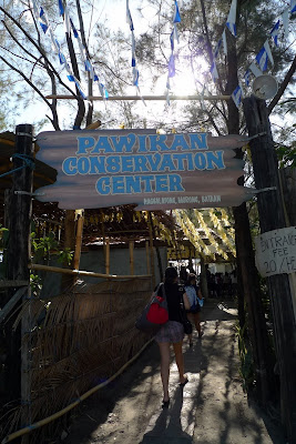 Pawikan Conservation Center - The Budget Traveller Philippines