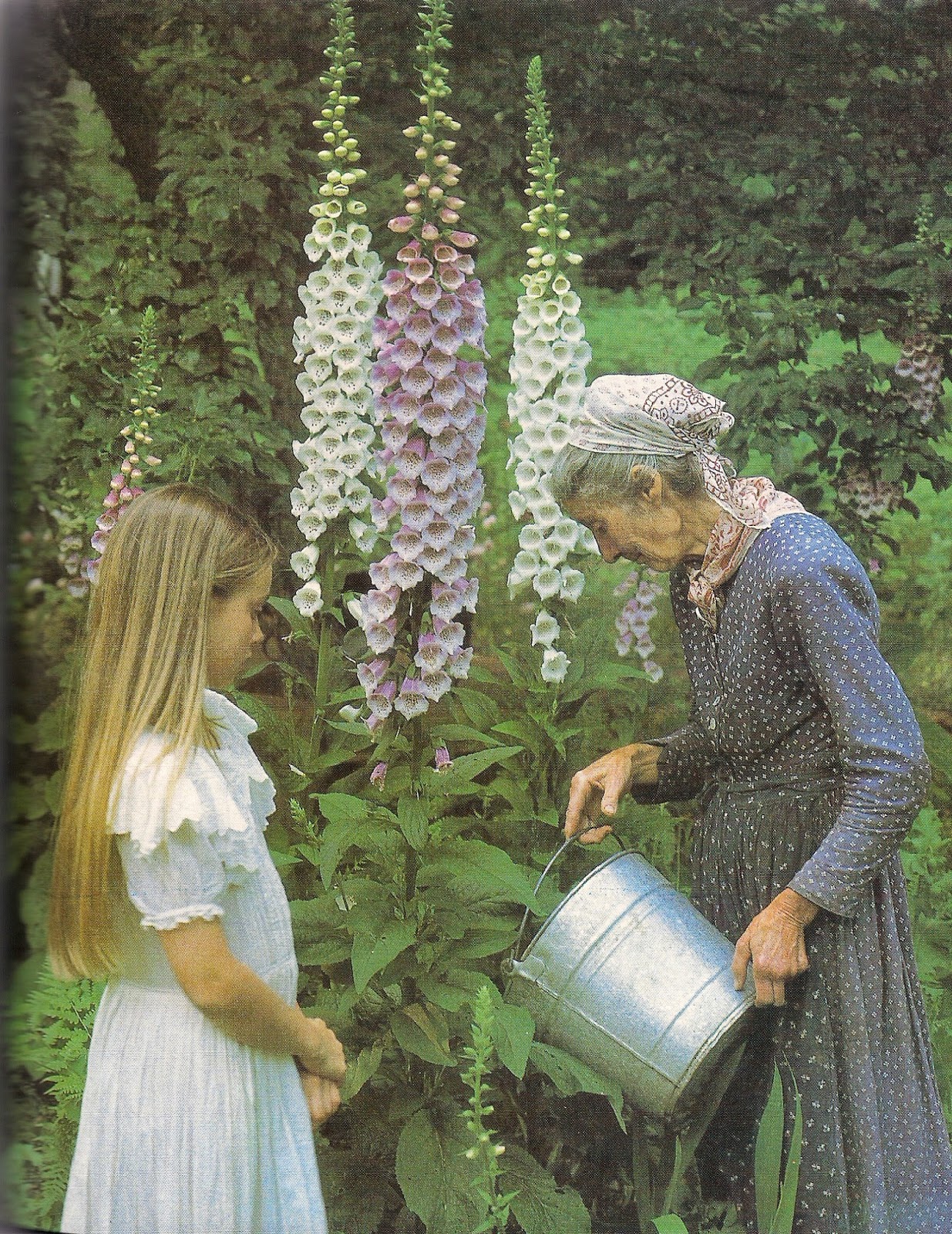 HOME & GARDEN Le jardin de Tasha Tudor