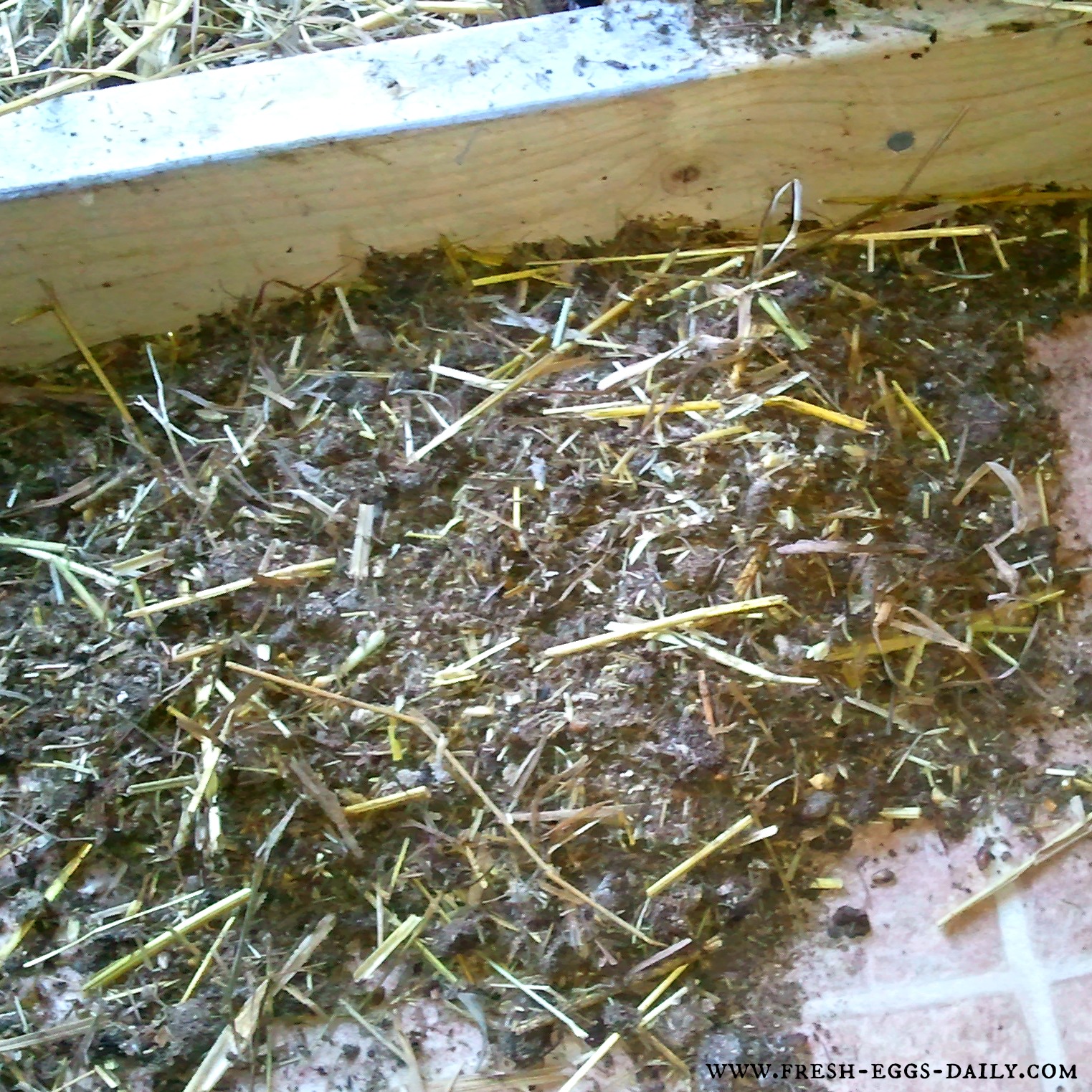 The Deep Litter Method aka Chicken Coop Winter Composting Fresh Eggs