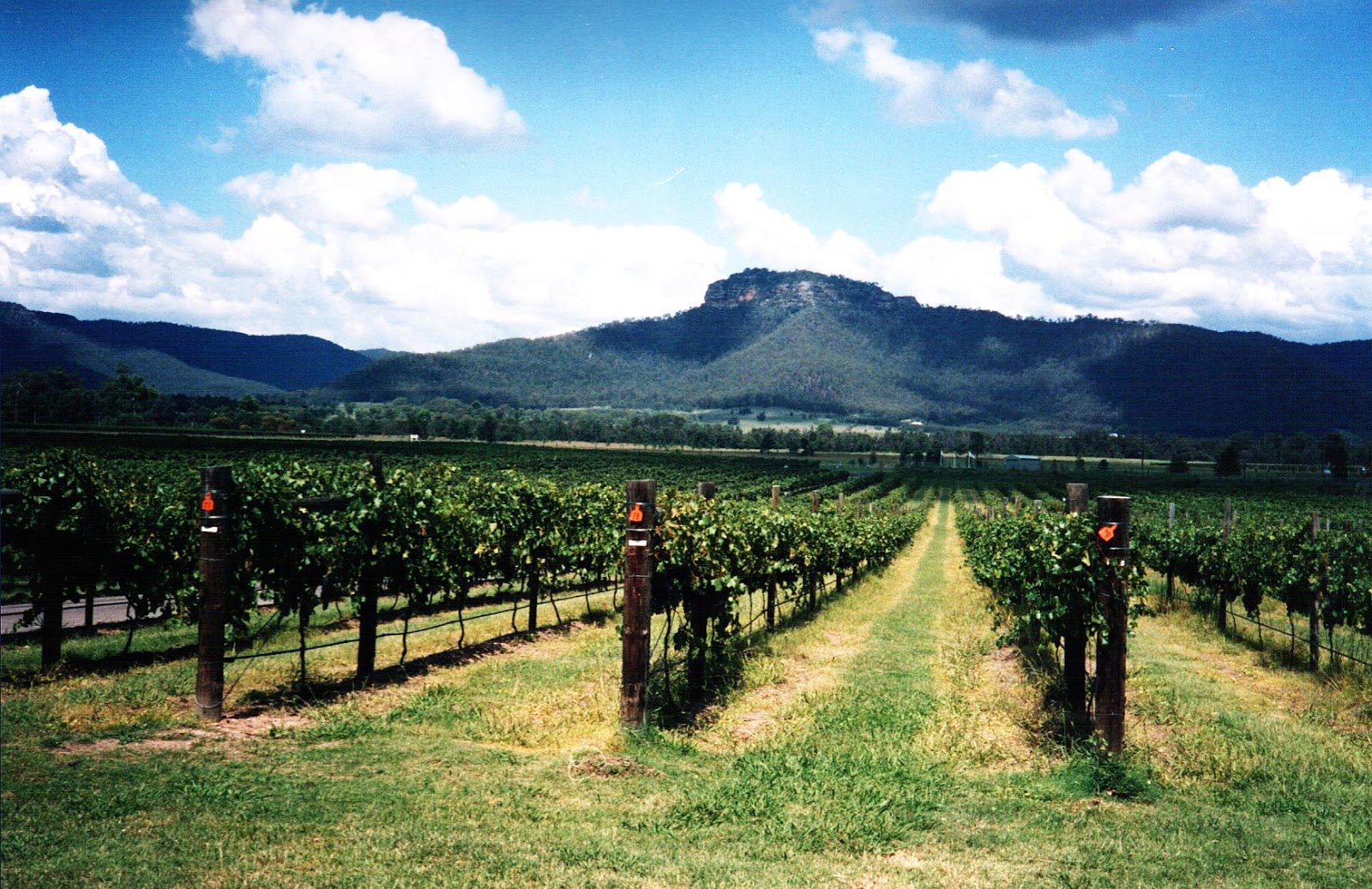 Hunter Valley and The Yarra Valley Wine Regions Sightseeing Tours