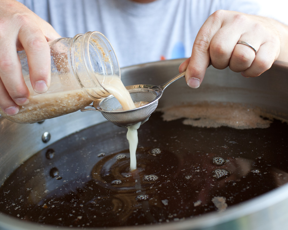 Beer DIY Sour Wort Wild Red Velvet