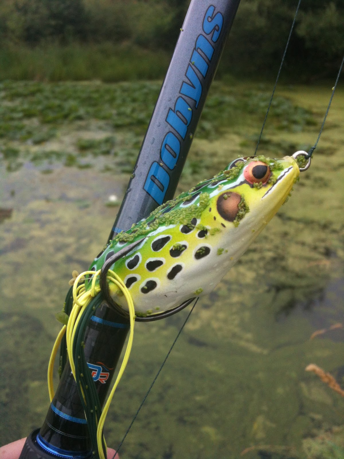 Bass Junkies Frog Pond: Booyah Pad Crasher Frog Review