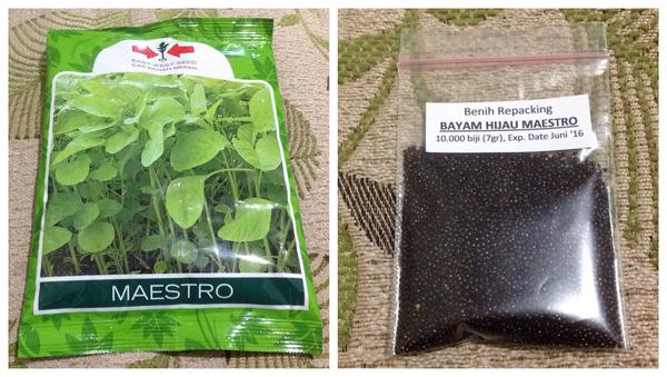 benih atau bibit tanaman hidroponik benih atau bibit tanaman hidroponik